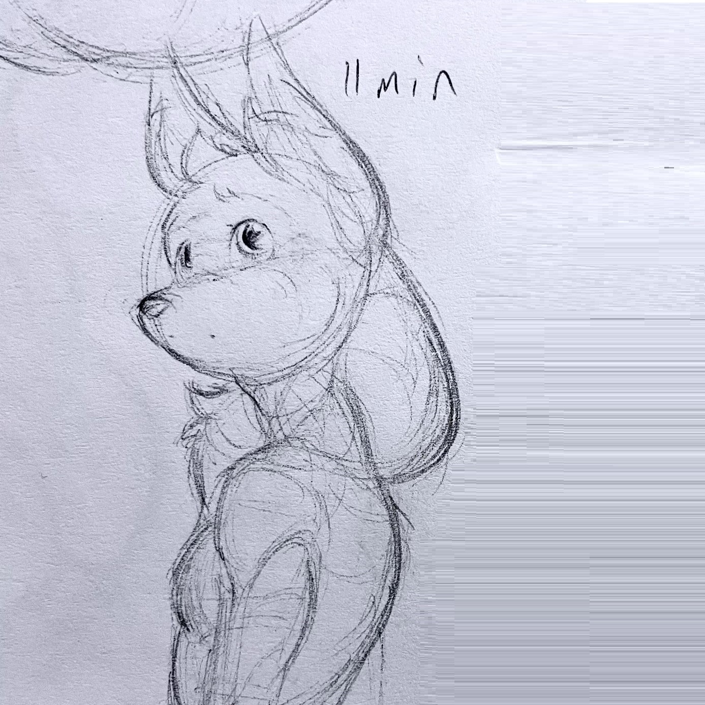 Bust example