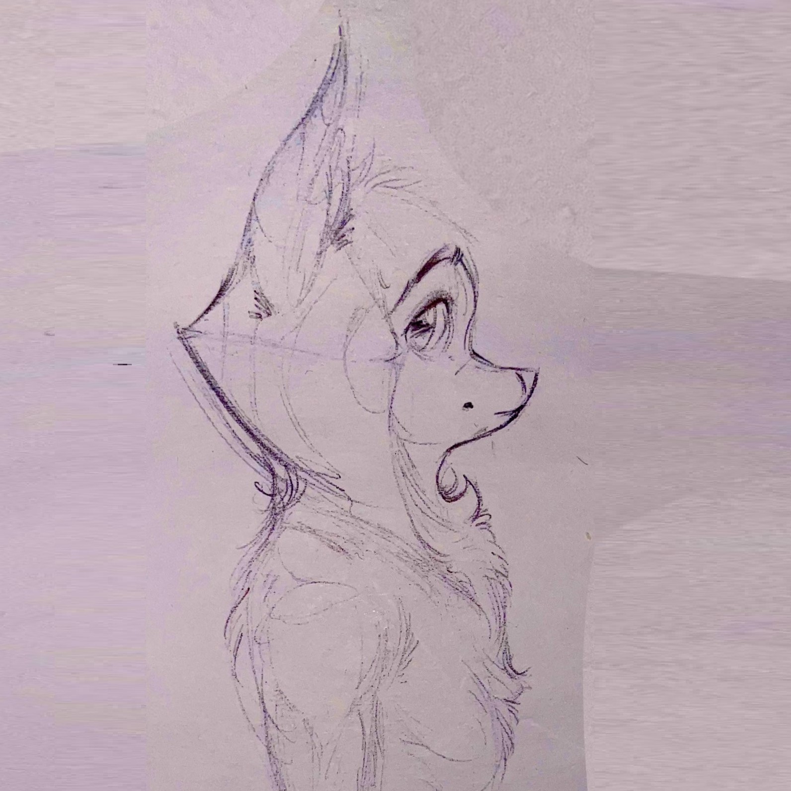 Bust example